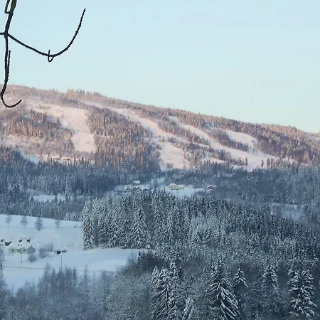 펜션 Sogn Gjestegard Svarstad (Vestfold)